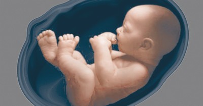 ТУҒИЛИШДАН ОЛДИНГИ ҲАЁТ