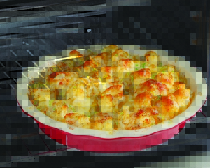 Газ печида гулкарам