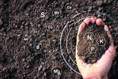 Ер бор, тупроқ  бор...  аммо яроқсиз,  нега?  Чўллашиш ва  шўрланиш муаммоси