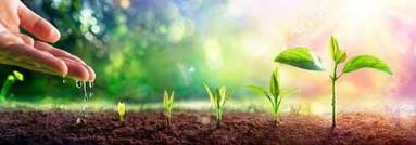 Экологик масалалар  Тараққиёт стратегиясида алоҳида ўрин олади