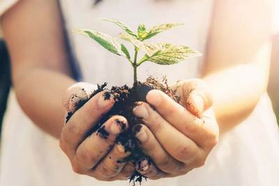 Кўчат экиш  «кампаниябозлик»ка эмас,  эзгу анъанага айлансин