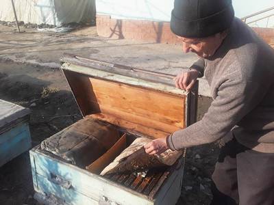 Асаларичиликдан йилига  55 миллион  топаётган отахон