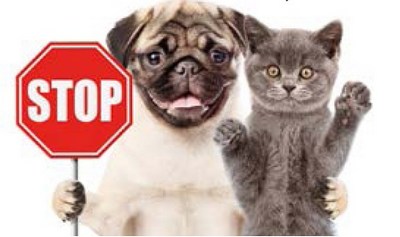 Жониворларнинг  «жон»и  йўқми?