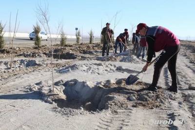 Она юртимиз  муқаддас,  Аммо нима учун уни тоза-озода сақламаймиз?