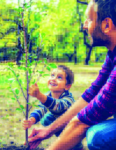 &laquo;Яшил йиллик&raquo;  бошланиш арафасида  Бунинг учун кўчатлар захираси етарлими?