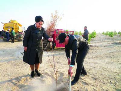 Экологик тоза  ҳудудга айланаётган  Қизилтепа