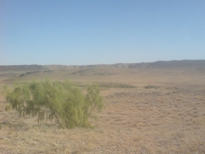 Ўзбекистон эко  тизимида янгилик:  Қизилқумнинг  ноёб табиати  ҳимояга олинади