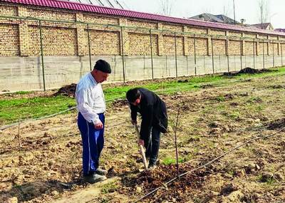 Ташландиқ ер  тадбиркор томонидан обод қилинди