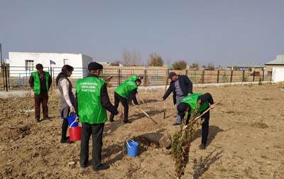 Байрам баҳона  боғ яралди