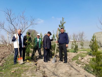 Қашқадарёда  «Яшил макон» «Яшил  йиллик»ка уланиб кетди