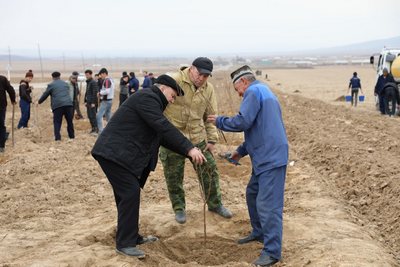 Қўшработда  Самарқанд давлат  Университети  боғи яратилди