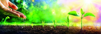 Ҳар бир экилган ниҳол,  яратилган боғ  ҳаёт қадрини англатиб,  инсон умрини узайтиради