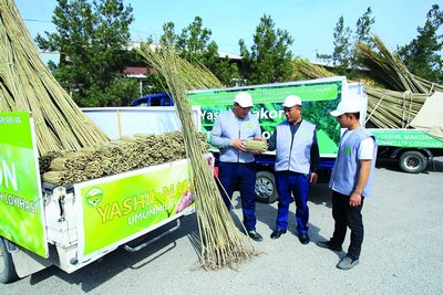 «Яшил макон»  Фарғонада теракзорлар  бўй чўзмоқда