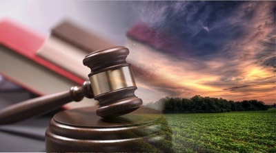 Ўсимлик дунёси  қонун ҳимоясида,  депутатлар назоратида бўлади