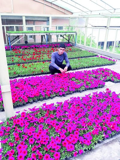 Томда гул  ўстираётган йигит  Қаловини топса қор ҳам ёнади