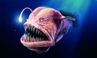 «Шайтон  балиқ»