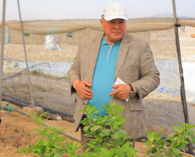 Поп лимонзорларида 850 киши банд