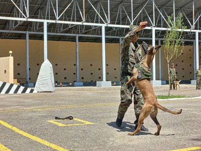 Вафодор,  қўрқмас, тезкор:  Миллий кинология марказига  саёҳат