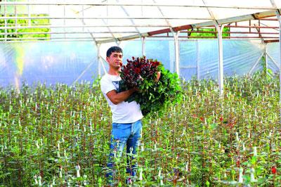 Атиргуллар  очса чирой...