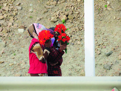 Лолаларнинг  уволига қолманг