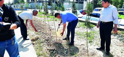 Ҳамжиҳатлик  ва бирдамлик  ифодаси