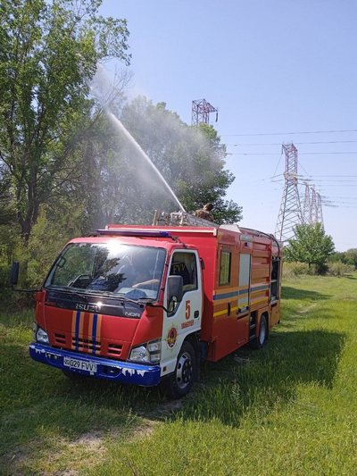 Дарахтларни «шира ёмғири»дан  қутқариш  турли  зараркунандалардан  ҳимоя қилади