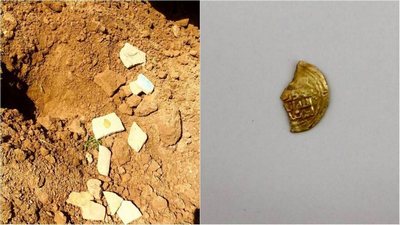 Боғдан  топилган  қадимий  олтин танга  музейга  топширилди