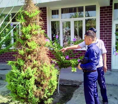 Таълим муассасаларидаги кўчатлар тақдири  депутат назоратида