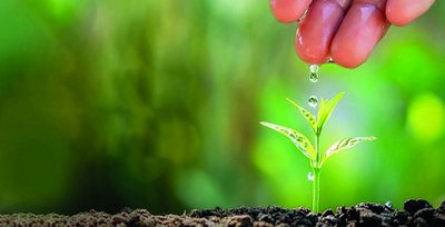 «Яшил макон» умуммиллий лойиҳаси  ҳамиша  эътиборда бўлади