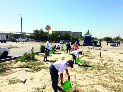 «Яшил макон» –  бўлмасин хазон!
