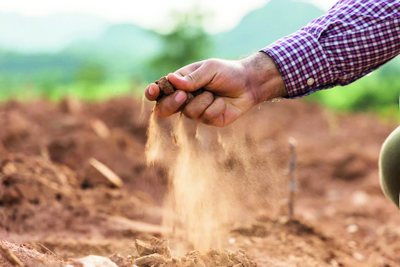 Бир сиқим  Тупроқ  ёки фожианинг ҳақиқий кўлами ҳақида