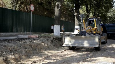 Дарахтларга қилинган ваҳшийлик ортидан  ҳоким ва прокурор  ишдан олинди