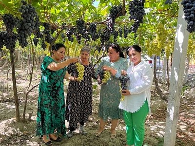 Депутатлар аҳолининг  Томорқадан  самарали фойдаланиш  ҳолатини ўрганди