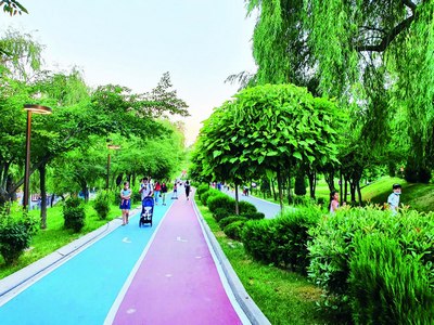 Ҳар бир ҳудудда яшил боғ  ёки жамоат парки  бу қандай амалга оширилади?