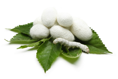 Янги тутзорлар –  янги имкониятлар