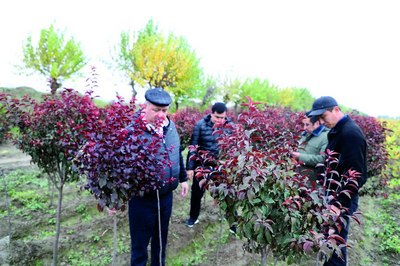 «Яшил макон»:  «Долзарб қирқ кунлик»даги  долзарб масалалар