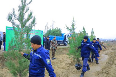 "ЯШИЛ МАКОН" УМУММИЛЛИЙ ЛОЙИҲАСИ  УЙЧИДА ҲАМ ДАВОМ ЭТМОҚДА 