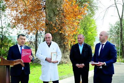 100 ёшдан ошган дарахтлар –  табиат ёдгорлиги