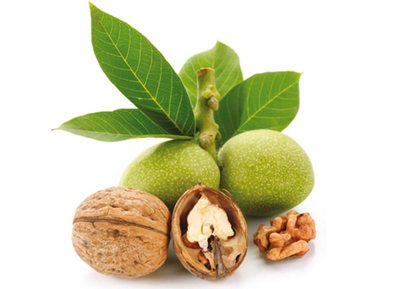 Қондаги холестеринни  камайтиради