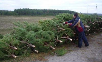 Бир кунлик орзу-ҳавас учун  табиат бадал  тўламаслиги керак