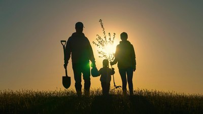 Баҳор яқин,  сиз дарахт экишга  тайёрмисиз?