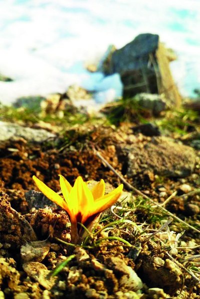 Қантар оғса, қор турмас