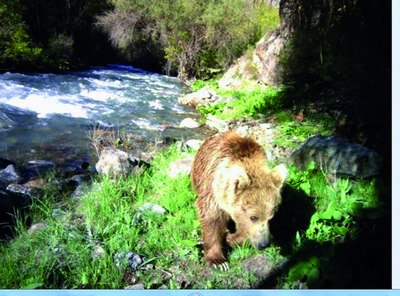 Миллий  табиий  бойликларимиз  қўриқхонада муҳофаза қилинмоқда