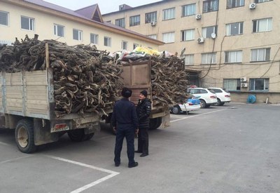 Эконазорат  Инспекциясининг  «тиши ўтмайдиган»  ташкилотлар қайси?