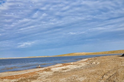 «Айдар-Арнасой» кўллар тизими: Ўтган йилда Табиатга 157,1 миллион сўмлик зарар етказилган