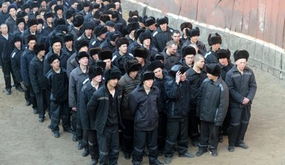 Депутатлар:  Жиноятлар сони ошмоқда,  шартли озод қилиш тизимини  қайта кўриб чиқиш керак