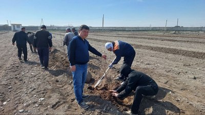 «Яшил макон»  лойиҳаси  давом этмоқда!