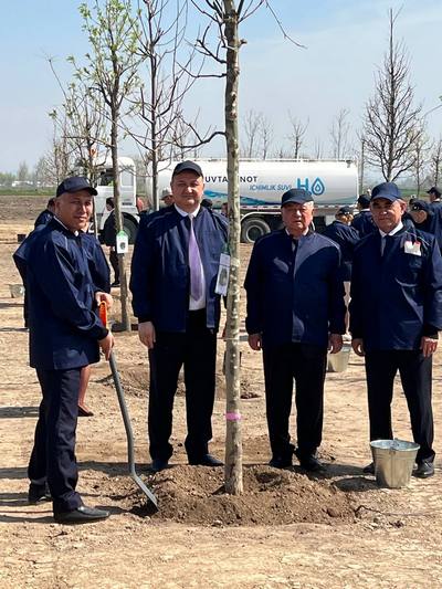 Яшиллик сабаб  пойтахт ҳавоси мусаффо бўла  бошлайди