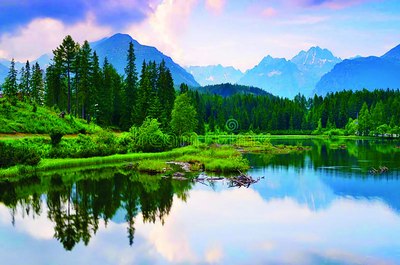 Табиатдан озодлик,  муқаррар якуний қулликка олиб боради