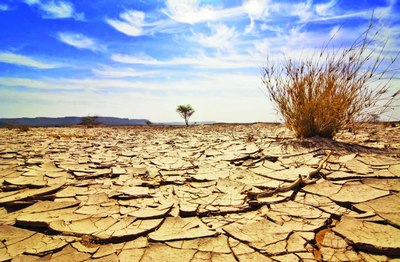 Яна бир экологик муаммо –  деградацияга учраётган экин майдонлари